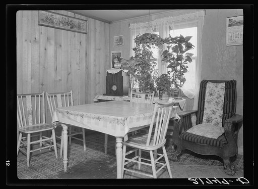 Interior of Evenson new one-room cabin. Mrs. Evenson brought the plants with her from Montana. Priest River Valley, Bonner County, Idaho. See general caption 49
