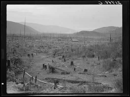 Another stump farm, fenced, showing general characteristics of the valley. Bonner County, Idaho. See general caption 49