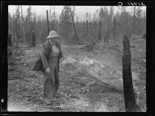 Untitled photo, possibly related to: Family work clearing land by burning. Near Bonners Ferry, Boundary County, Idaho. See general caption 49