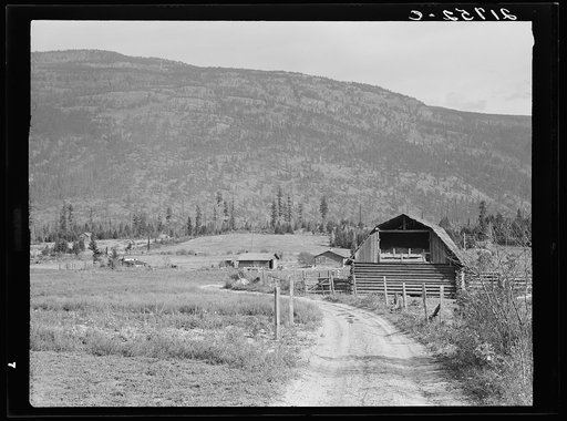 Father's farm in foreground, son's place adjoining. Note cleared land. FSA (Farm Security Administration) borrowers on land clearing loan. Boundary County, Idaho. See general caption 56