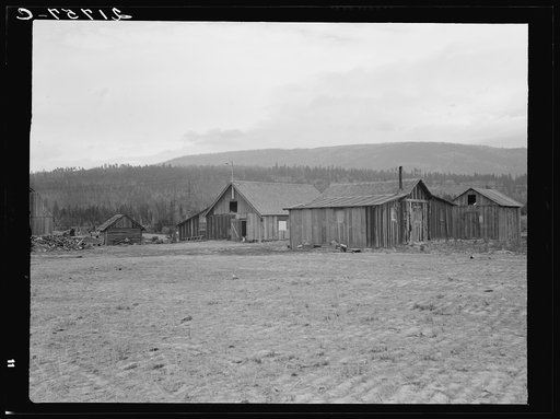 Partly-developed stump ranch seen across cleared grain field. Boundary County, Idaho. See general caption 52