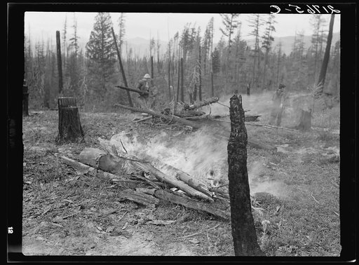 Family work, clearing land by burning. Near Bonners Ferry, Boundary County, Idaho. See general caption 49