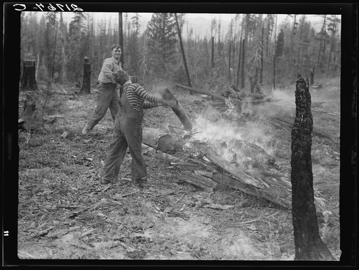 Family work clearing land by burning. Near Bonners Ferry, Boundary County, Idaho. See general caption 49