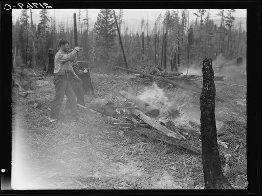 Untitled photo, possibly related to: Family work clearing land by burning. Near Bonners Ferry, Boundary County, Idaho. See general caption 49