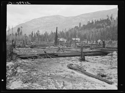 New farm home. Note second growth timber and portion of their uncleared land. Boundary County, Idaho. See general caption 49