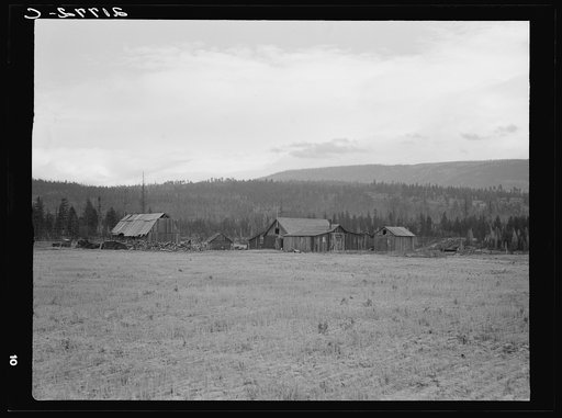 Partially-developed stump ranch seen across cleared grain field. Boundary County, Idaho. See general caption 52