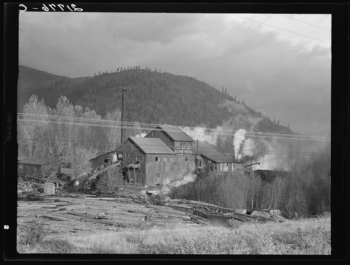 Small private lumber mill still operating in region where large mills have cut out. Boundary County, Idaho. See general caption 49