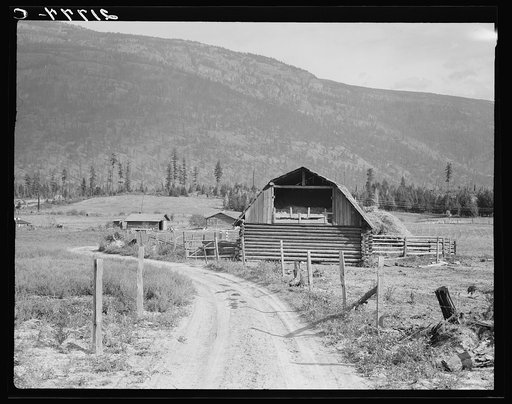 Farm of FSA (Farm Security Administration borrower). Land clearing loan. Boundary County, Idaho. See general caption 56