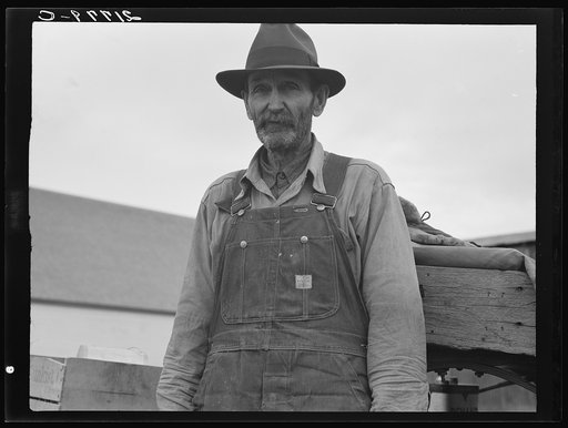 Stump farmer comes to town on a Saturday morning to bring in cream and do the shopping. Bonners Ferry, Idaho