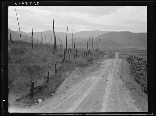 Shows character of cut-over area. Bonner County, Idaho. See general caption 49