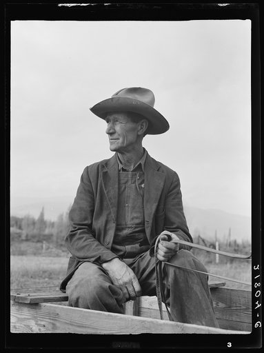 Untitled photo, possibly related to: Ex-Nebraska farmer now developing farm out of the stumps. Bonner County, Idaho. See general caption