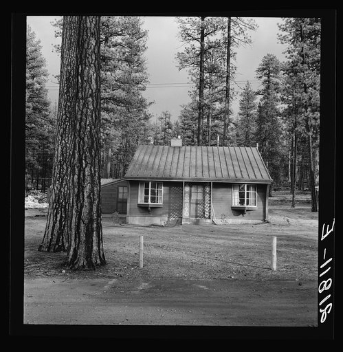 Type house in model lumber company town for millworkers. Gilchrist, Oregon. See general caption 76