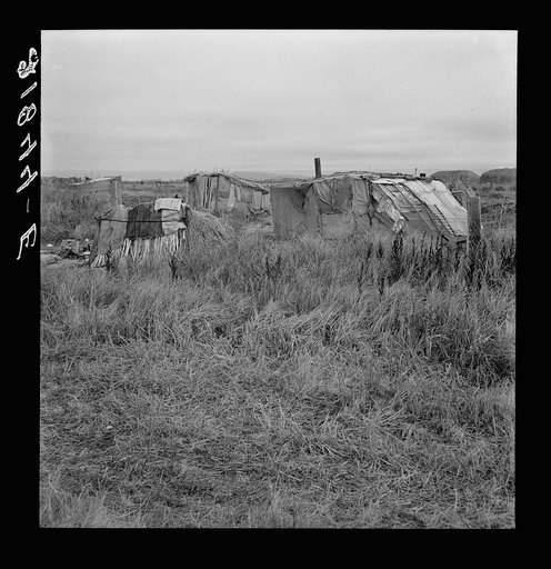 Untitled photo, possibly related to: Living conditions of migrant potato pickers. Tulelake, Siskiyou County, California. See general caption 63