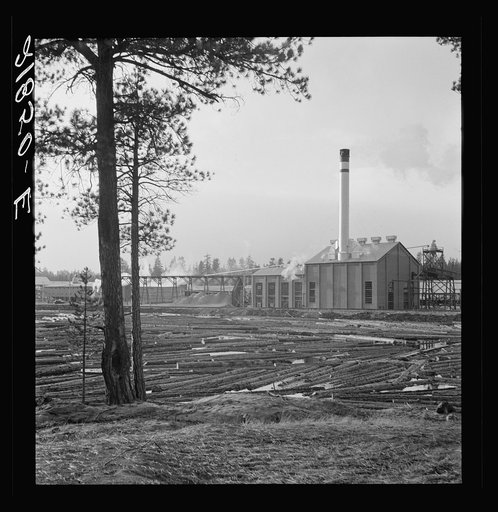 The new Gilchrist mill, open a week. Lumber mill. Gilchrist, Oregon. See general caption 62
