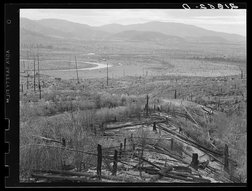 The Priest River runs through a stumpy valley where new farms are being established. Bonner County, Idaho. See general caption 49