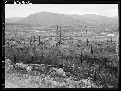 Looking down the Priest River Valley in which many new settlers are trying to establish farms. Bonner County, Idaho. See general caption 49