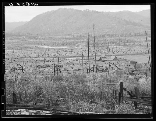 Looking down the Priest River Valley in which many new settlers are trying to establish farms. Bonner County, Idaho. See general caption 49