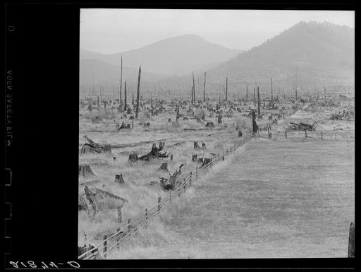 Cleared piece of land, fence, and uncleared land. Priest River Valley, Bonner County, Idaho