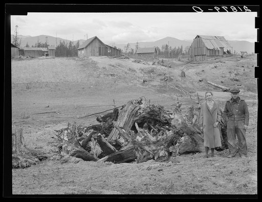 Untitled photo, possibly related to: The Unruf family, stump pile, and their partly developed farm. Boundary County, Idaho. See general caption 52