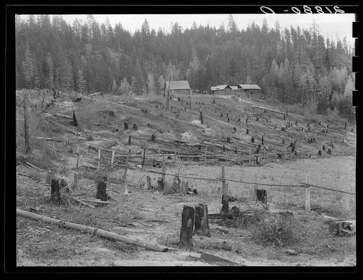 New settlers shack at foot of hills on poor sandy soil. Boundary County, Idaho. See general caption 49