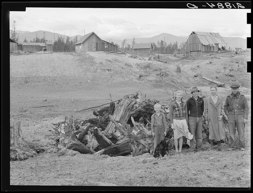 The Unruf family, stump pile, and their partly developed farm. Boundary County, Idaho. See general caption 52