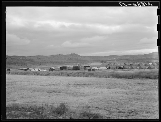 Wide view of the first mobile camp unit (FSA - Farm Security Administration), situated in the Klamath Basin, Oregon. See general caption 62