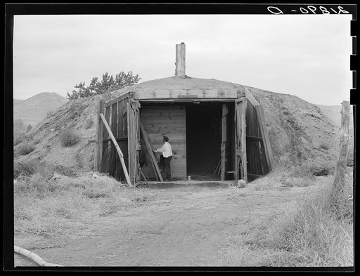 Potato cellar in the Klamath Basin in which 4000 one hundred-pound sacks will be stored. Merrill, Klamath County, Oregon