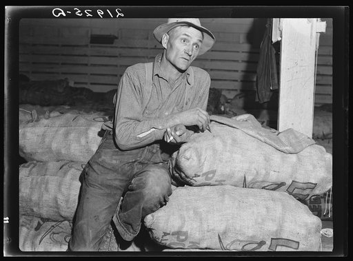 Klamath Basin potato farmer. He remembers when the first carload of potatoes left this valley in 1910. In 1934 he lost thirty-five hundred dollars on forty-eight acres of potatoes. His present acreage is eleven acres in potatoes, the rest in hay and soil-building crops. Has eleven milking cows. "I'm