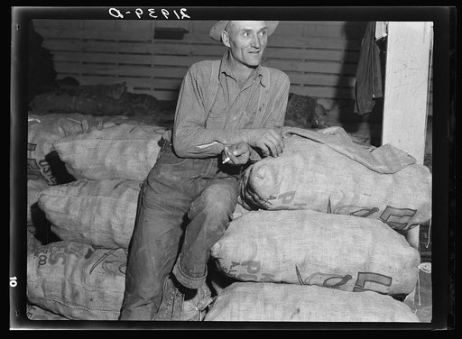 Untitled photo, possibly related to: Klamath Basin potato farmer. He remembers when the first carload of potatoes left this valley in 1910. In 1934 he lost thirty-five hundred dollars on forty-eight acres of potatoes. His present acreage is eleven acres in potatoes, the rest in hay and soil-building