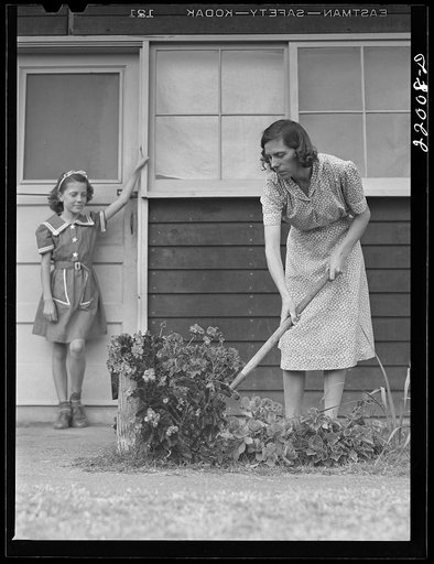 Weslaco, Texas. FSA (Farm Security Administration) camp. Gardening