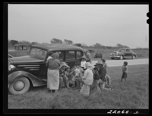 Brownsville, Texas (vicinity). Harvesters in bean field