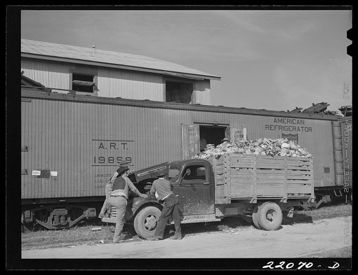 Donna, Texas. Loading cabbage