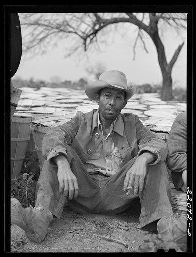Brownsville, Texas (vicinity). Bean harvesters on large farm