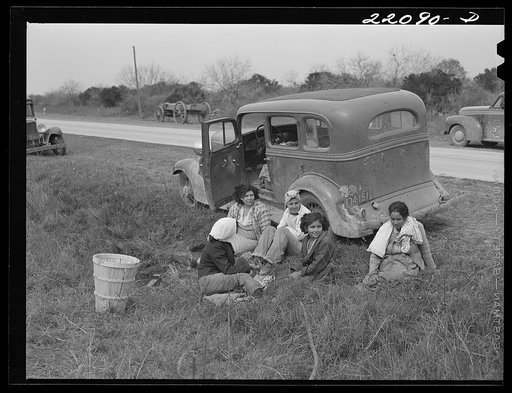 Untitled photo, possibly related to: Brownsville, Texas (vicinity). Harvesters in bean field