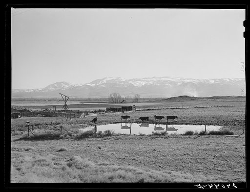 Farm. Washoe County, Nevada