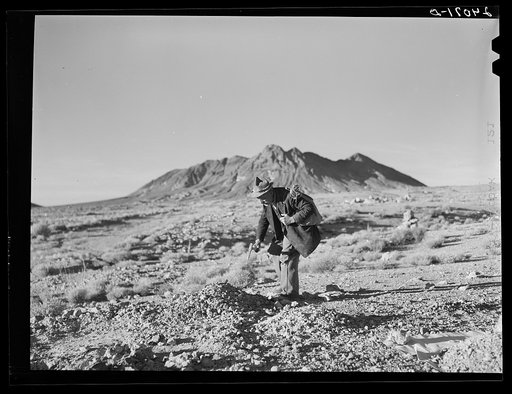 Prospector in the desert. Esmeralda County, Nevada