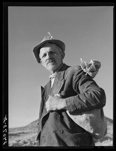 Untitled photo, possibly related to: Prospector in the desert. Esmeralda County, Nevada