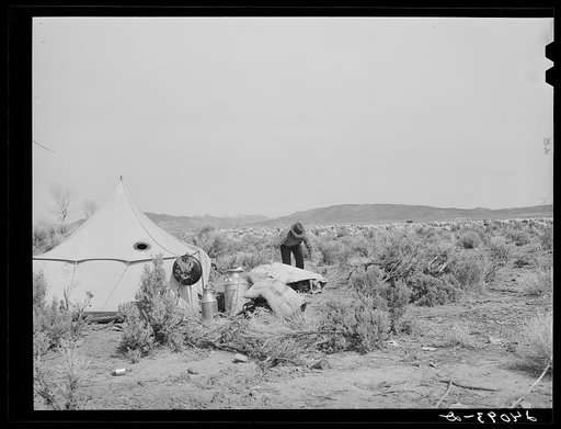 Sheepherder at camp. Dangberg Ranch, Douglas County, Nevada