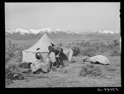 Sheepherder at camp. Dangberg Ranch, Douglas County, Nevada