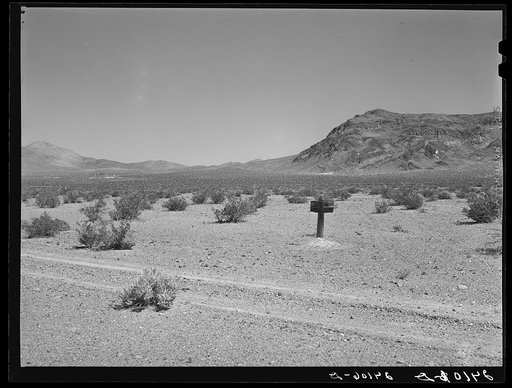Signpost on desert. Nye County, Nevada