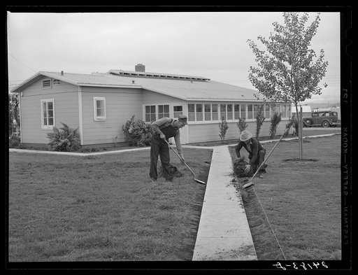 Migrants pay their rent when unemployed by working around the camp. Tulare migrant camp. Visalia, California
