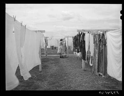 Untitled photo, possibly related to: Woman hanging clothes to dry. Tulare migrant camp. Visalia, California
