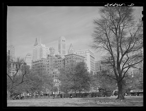View of downtown Manhattan from Battery Park. New York City