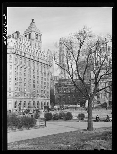 Buildings from Battery Park. New York City