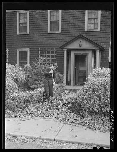 Sweeping fallen leaves in the suburbs. New York City