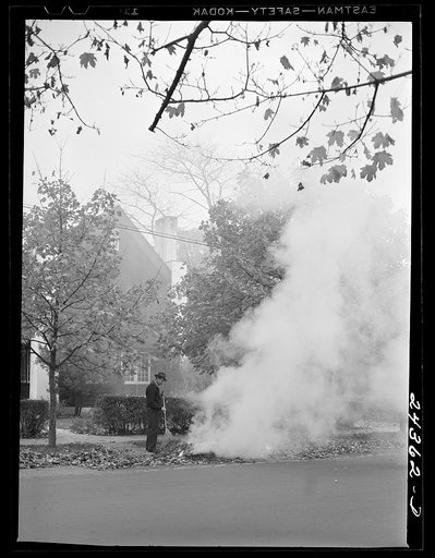 Burning leaves. New York City suburbs
