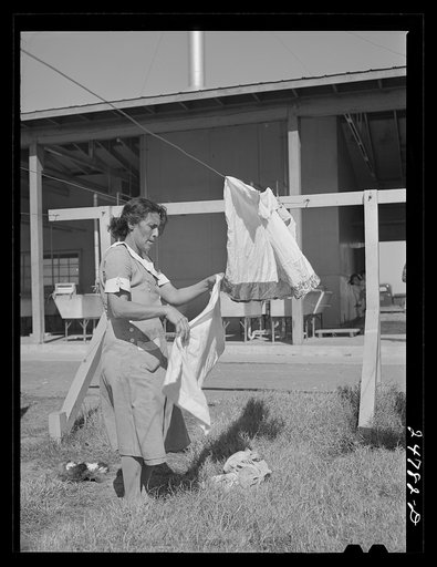 Community clothesline. FSA (Farm Security Administration) camp, Robstown, Texas