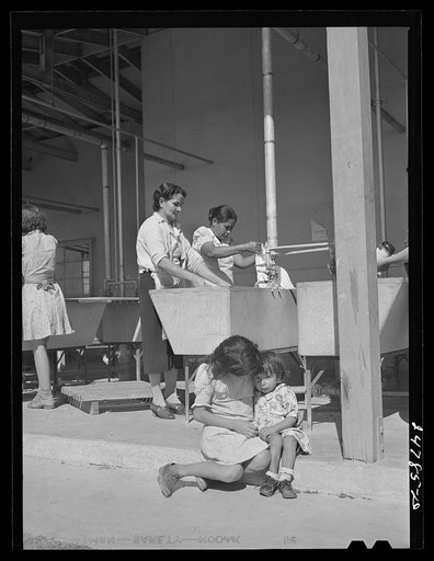 Untitled photo, possibly related to: Community laundry. FSA (Farm Security Administration) camp, Robstown, Texas