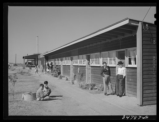 Gardens are planted in front of row shelters. FSA (Farm Security Administration) camp, Robstown, Texas