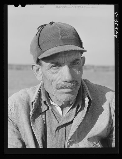 Untitled photo, possibly related to: Migratory worker. Robstown camp, Texas